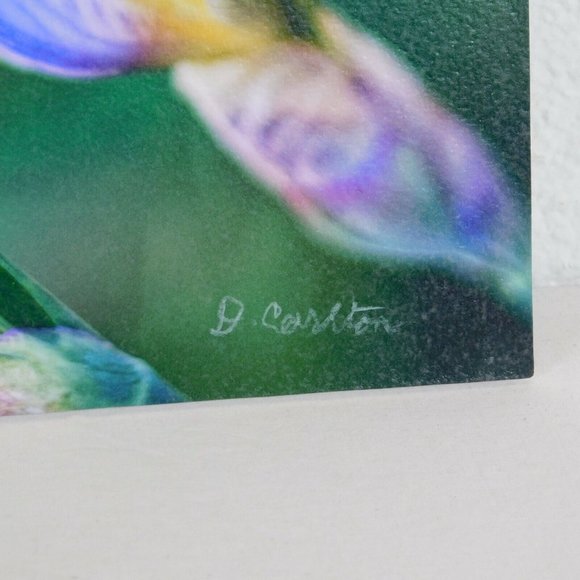 Purple Iris Flower Color Photography Lot of 2 Print Foam Board Botanical Nature - Picture 3 of 6